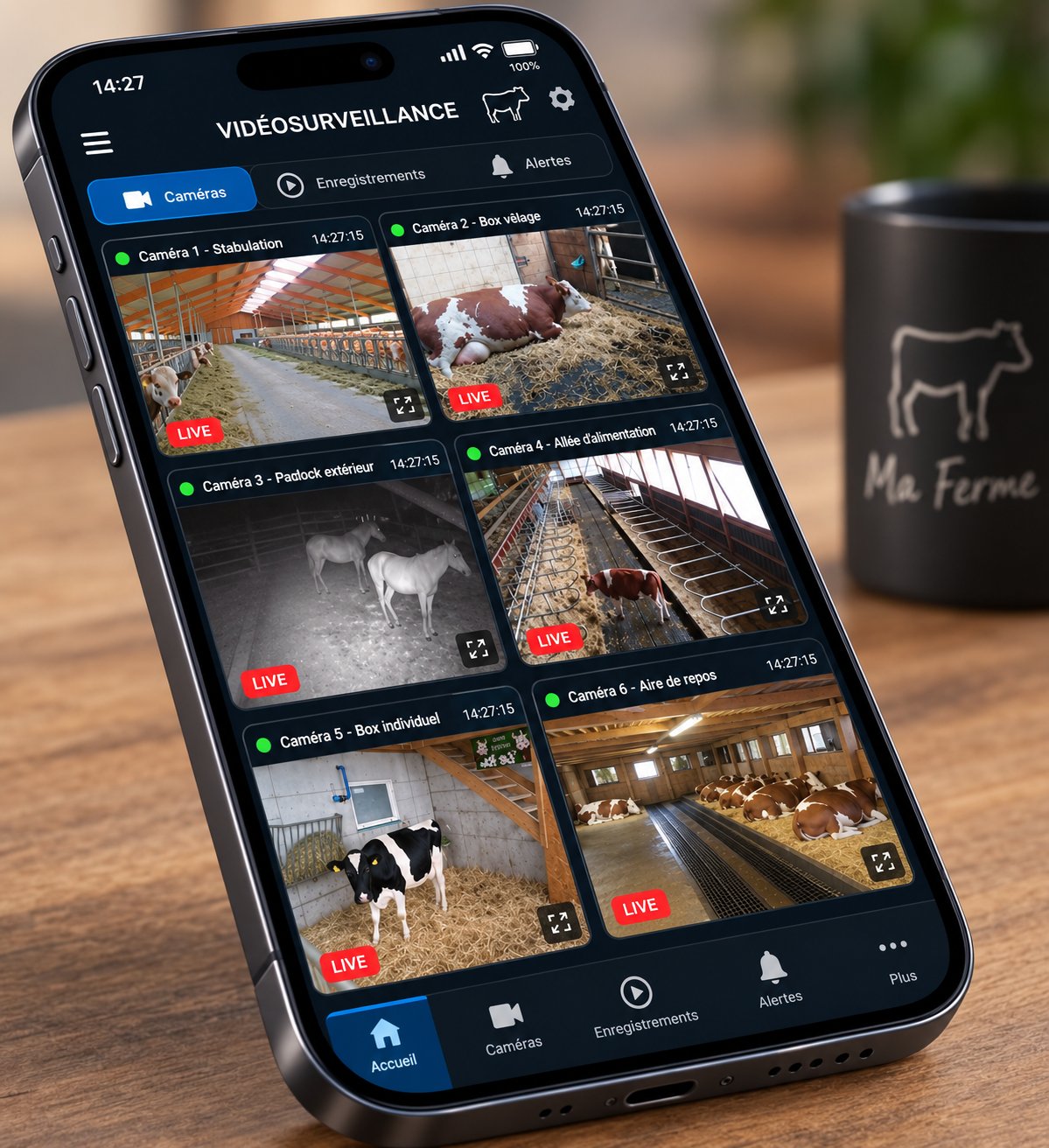 Application de vidéosurveillance agricole sur smartphone