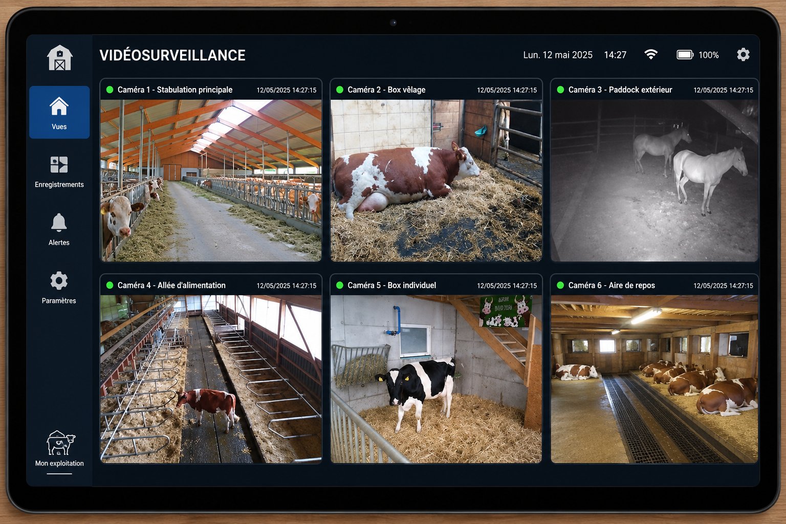 Interface de vidéosurveillance multi-caméras sur tablette pour agriculteurs et éleveurs